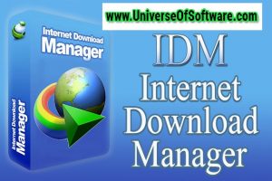 IDM 6.41 build 2 incl Patch revised [32bit + 64bit] Free Download