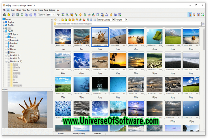 FastStone Image Viewer 7.6 with patch