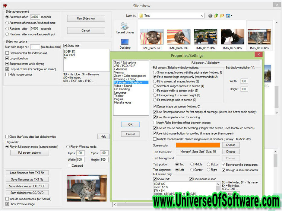 IrfanView 4.60 Full Version Free Download with Crack