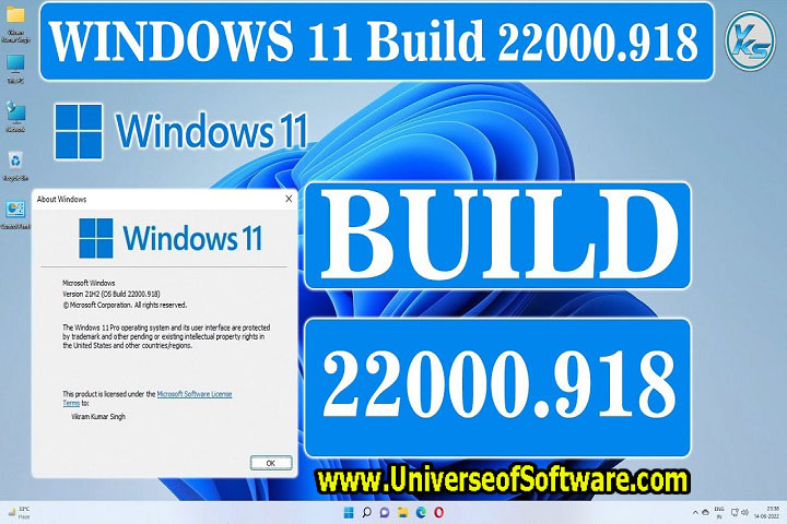 Windows 11 Pro Build 22000.918 Free Download