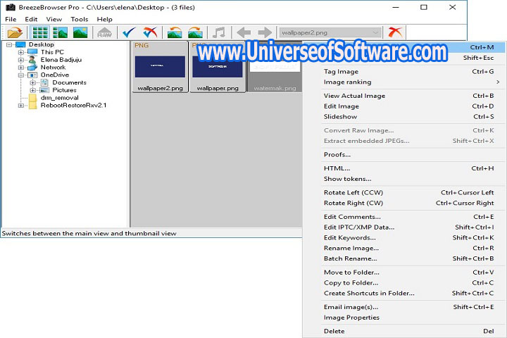 BreezeBrowser Pro 1.12.4.1 PC Software with keygen