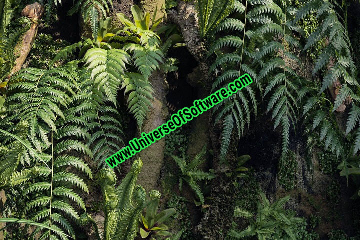 Maxtree Plant Models Vol.82 Free Download
